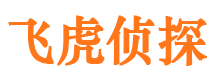 宾川市侦探调查公司